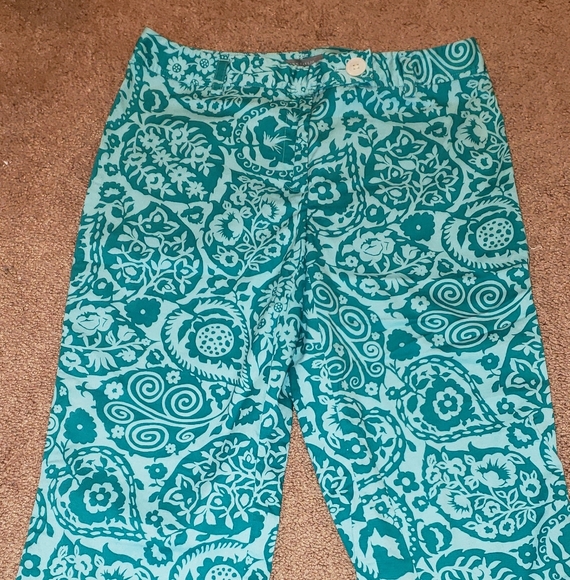 EUC Ann Taylor capri 6 - Picture 4 of 4